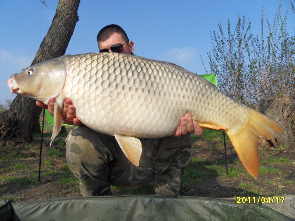 Nagykallo 2012 - rzv2012-134.JPG